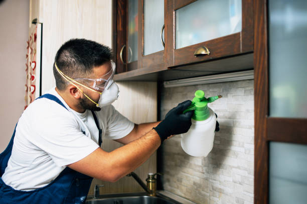 Professional Pest Control in Mccoll, SC