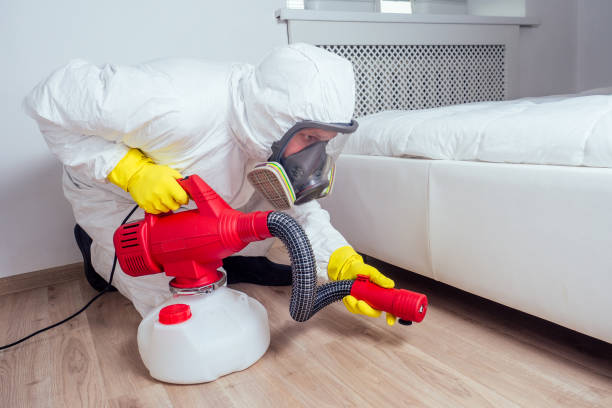 Best Rat Extermination Near Me  in Mccoll, SC