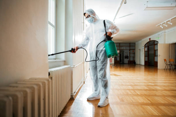 Best Local Pest Control Services  in Mccoll, SC
